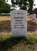 Gravestone Daphne Friele